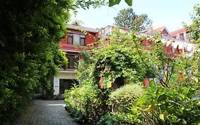 Rokpa Guest House Kathmandu